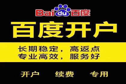 案例剖析：SEM竞价代运营助力品牌崛起